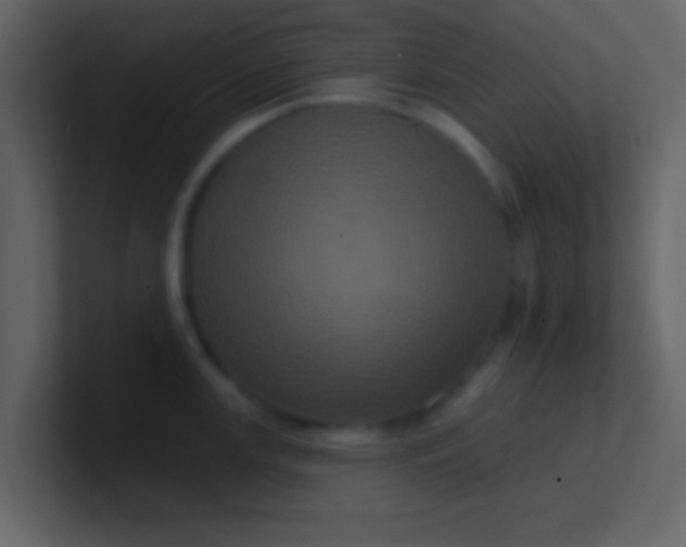 X0000100921147200807081145