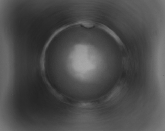 X0000100921148200807081145