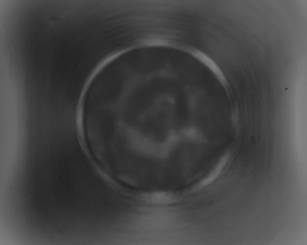 X0000100921149200807081145