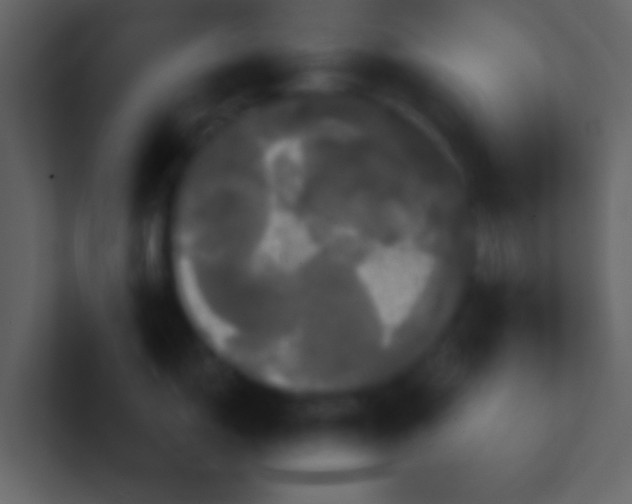 X0000100921150200807081145