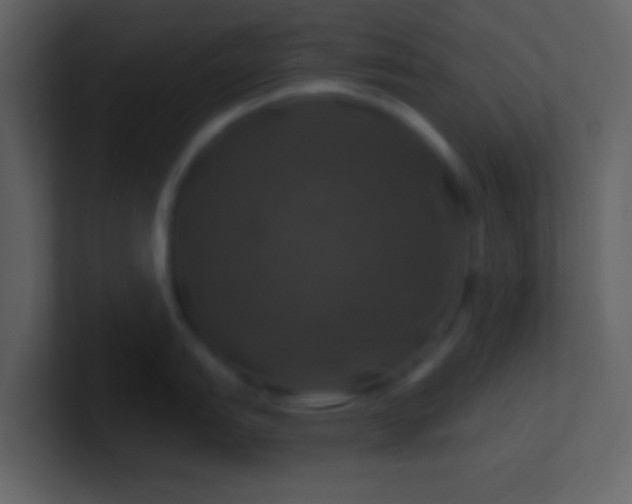 X0000100921151200807081145