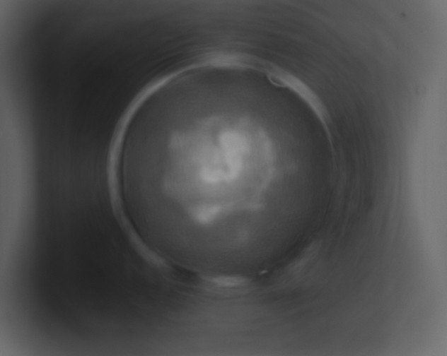 X0000100921152200807081145