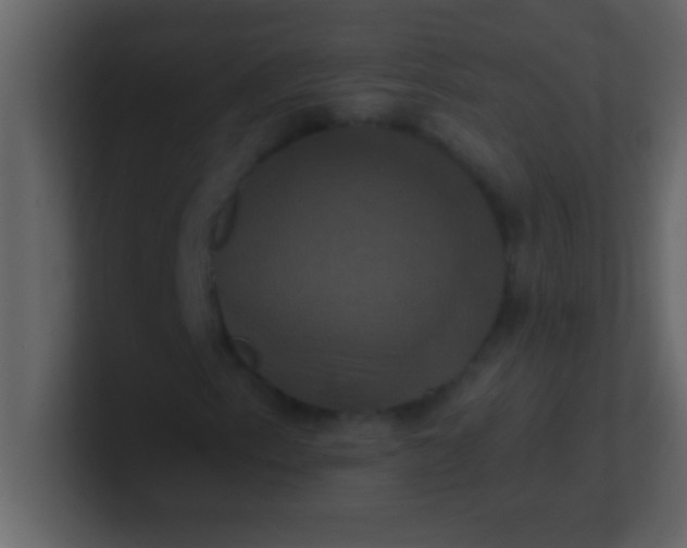 X0000100921153200807081145