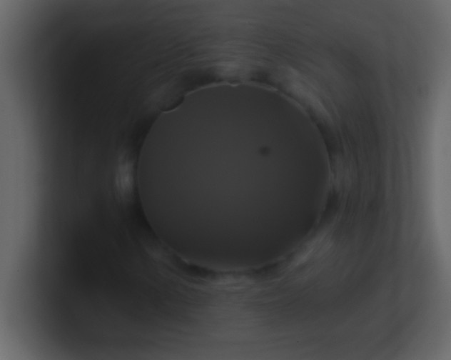 X0000100921154200807081145