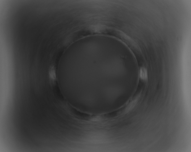 X0000100921155200807081145