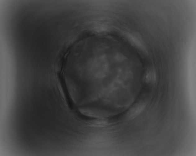 X0000100921156200807081145