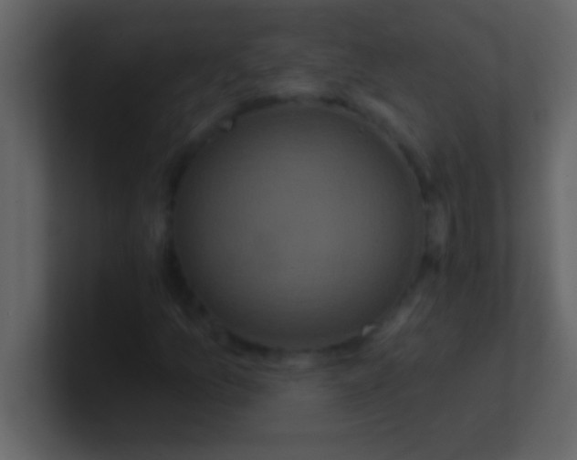 X0000100921157200807081145