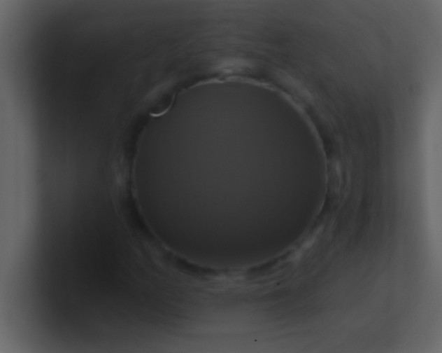 X0000100921158200807081145