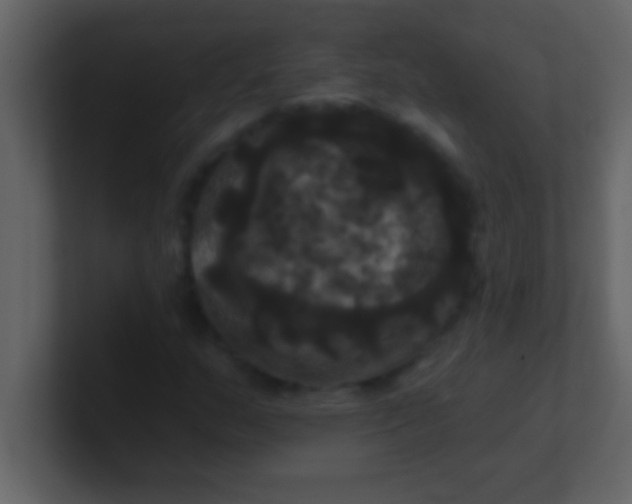 X0000100921159200807081144