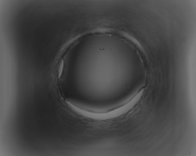 X0000100921160200807081144