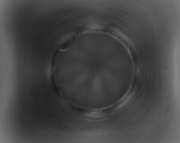 X0000100921161200807081144