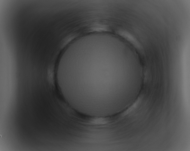 X0000100921162200807081144