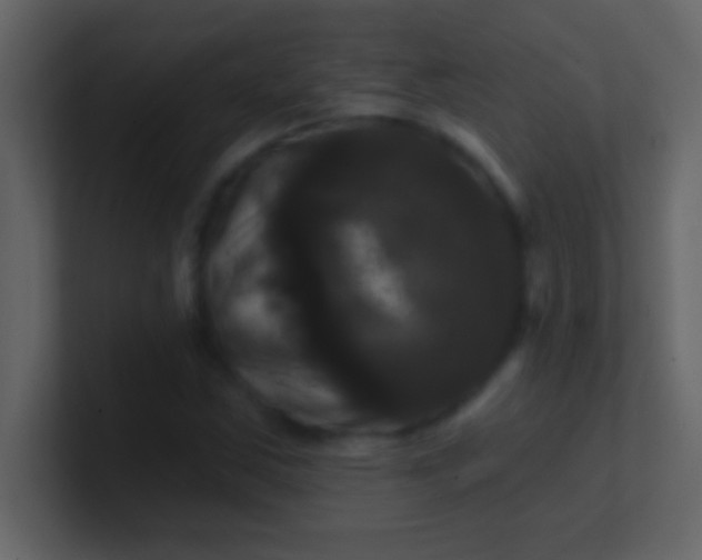 X0000100921163200807081144