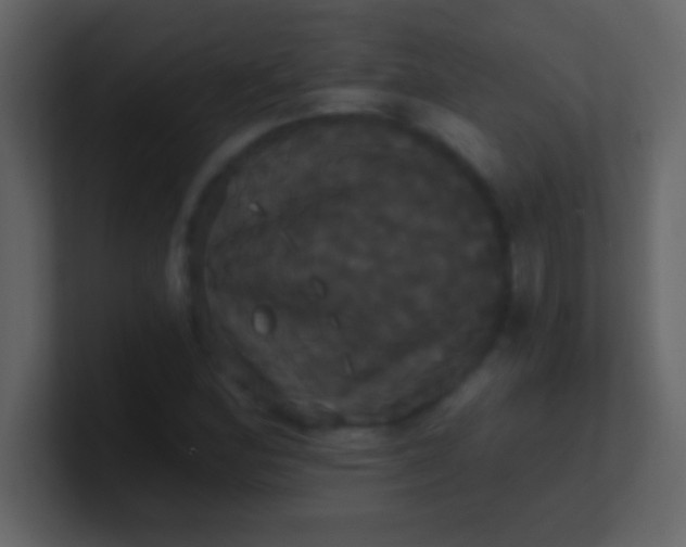 X0000100921164200807081144