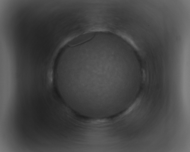 X0000100921165200807081144