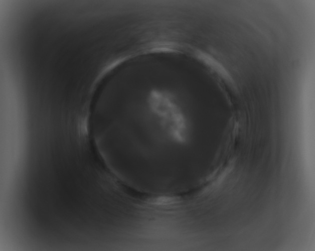 X0000100921166200807081144