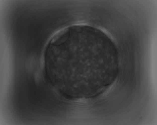 X0000100921167200807081144