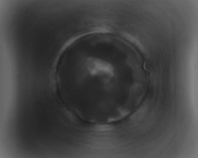 X0000100921168200807081144