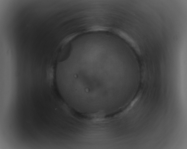 X0000100921169200807081144