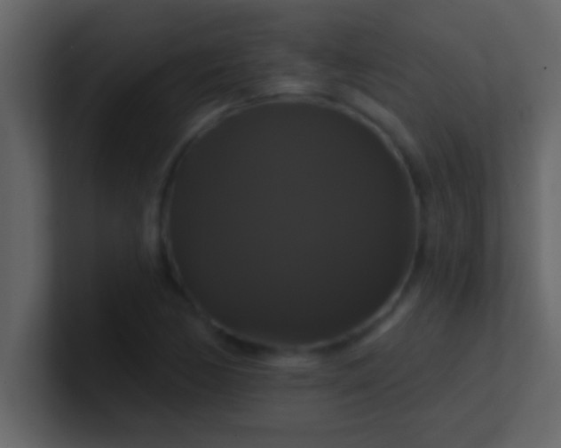 X0000100921170200807081144