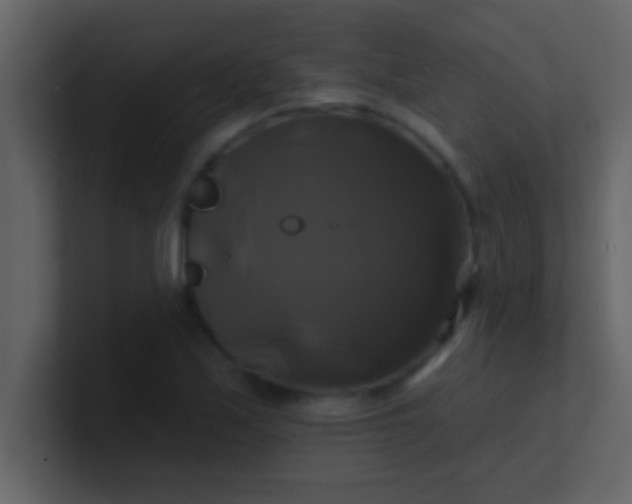 X0000100921171200807081144