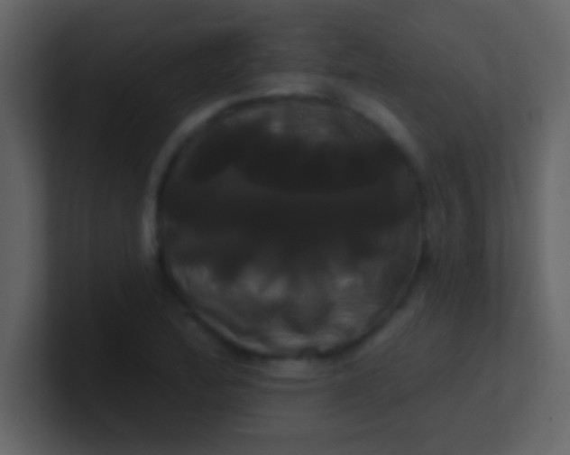 X0000100921172200807081144