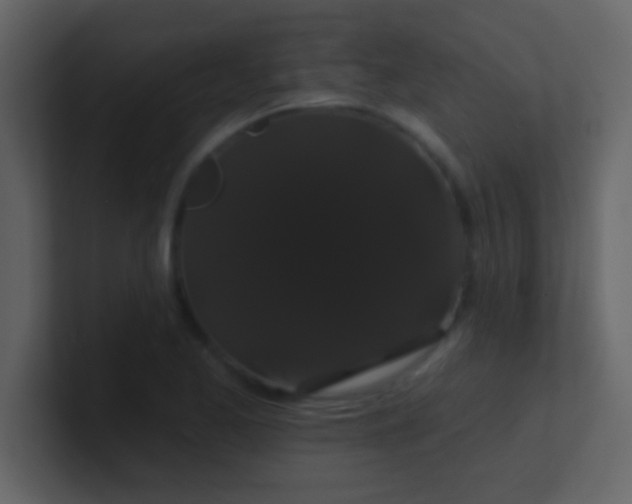 X0000100921173200807081144