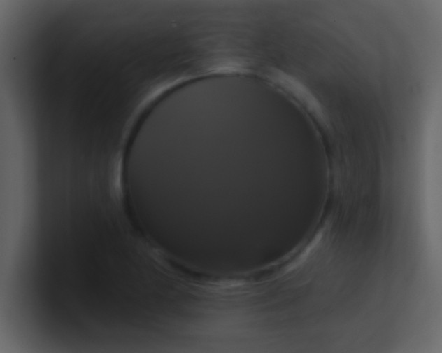 X0000100921174200807081144