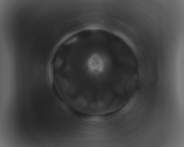 X0000100921175200807081144