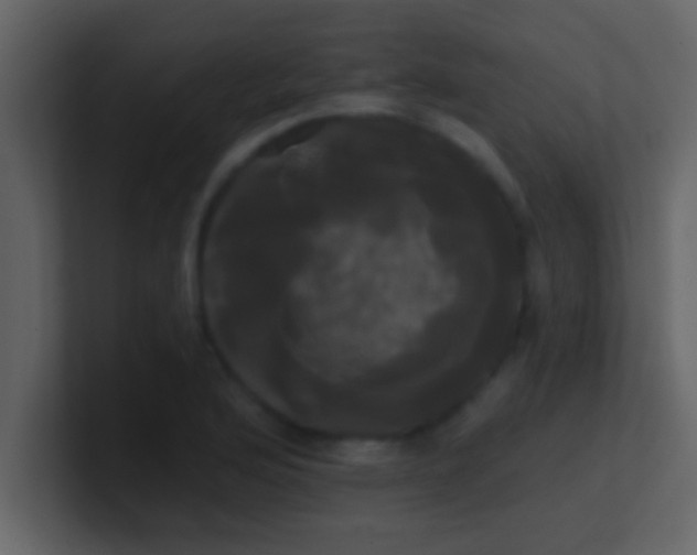 X0000100921176200807081144