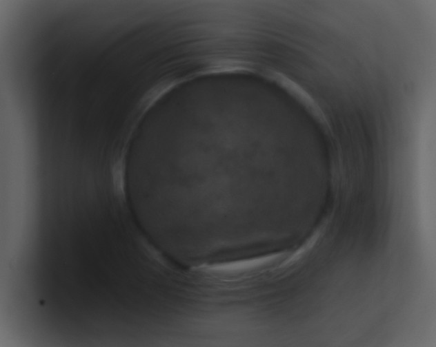 X0000100921177200807081144