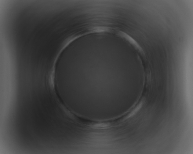 X0000100921178200807081144