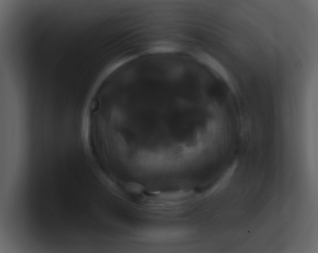 X0000100921179200807081144