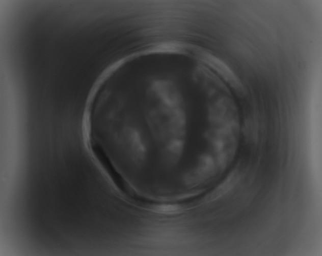 X0000100921180200807081144