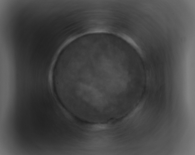 X0000100921181200807081144