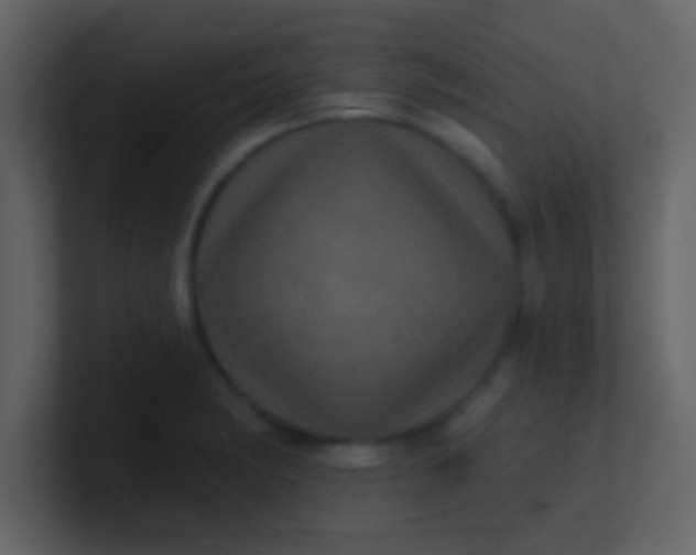 X0000100921182200807081144