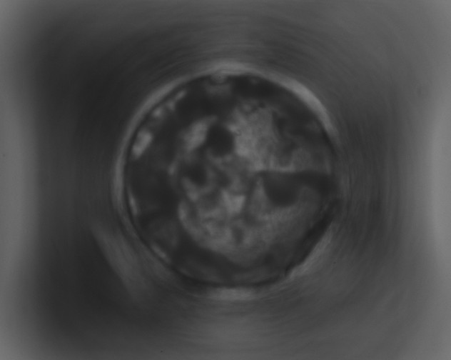 X0000100921183200807081144