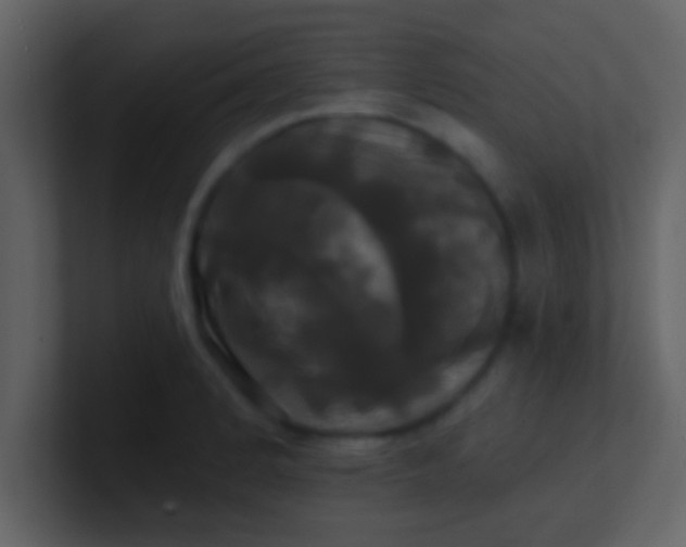 X0000100921184200807081144