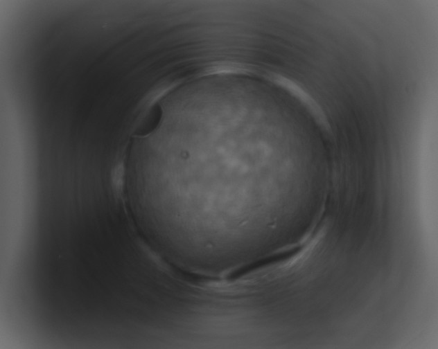 X0000100921185200807081144