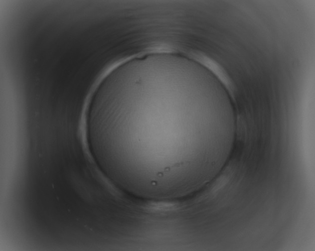 X0000100921187200807081144