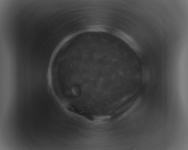 X0000100921188200807081144