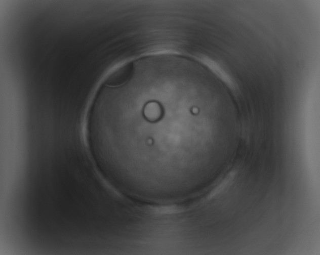 X0000100921189200807081144