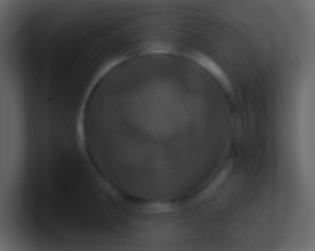 X0000100921190200807081144