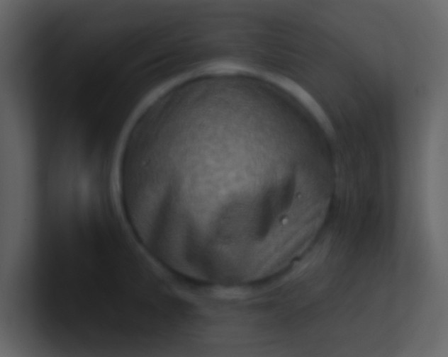 X0000100921191200807081144