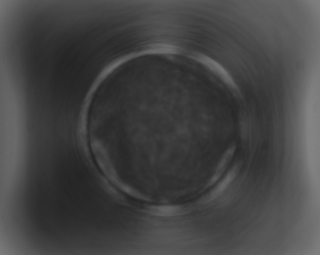 X0000100921192200807081144