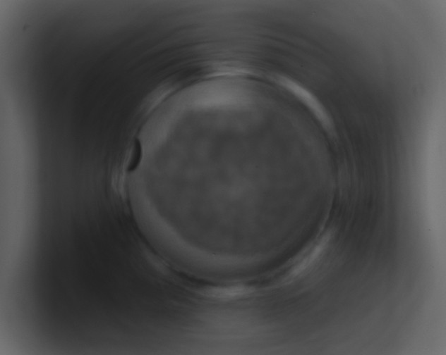 X0000100921193200807081144