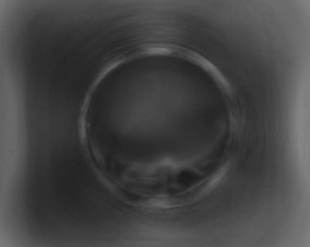 X0000100921194200807081144