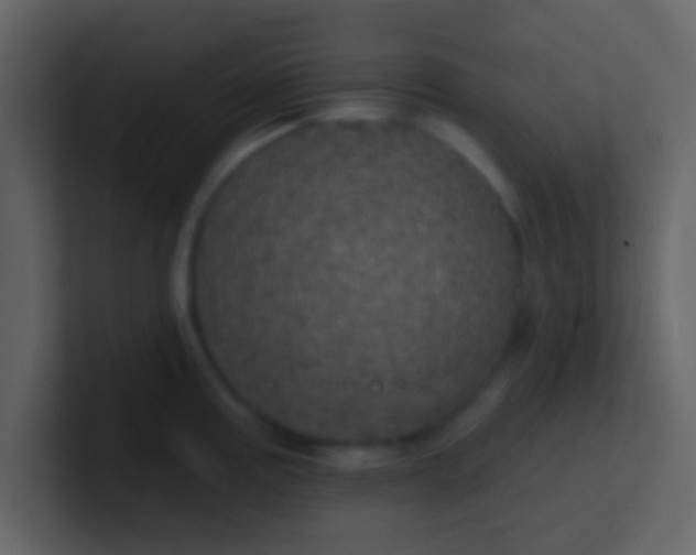 X0000100921195200807081144