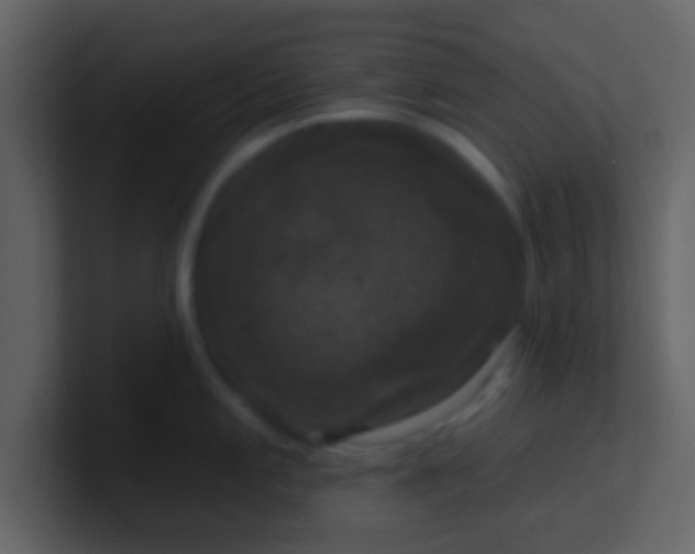 X0000100921197200807081144