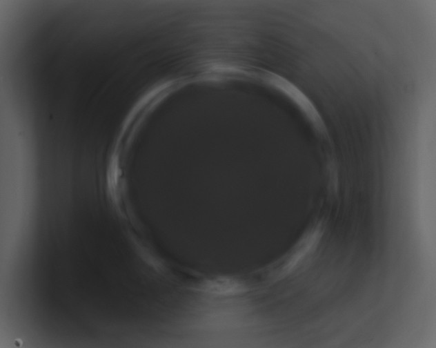 X0000100921198200807081144